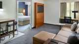 Residence Inn Asheville Biltmore Suite
