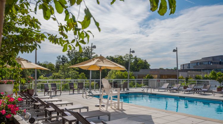 Courtyard by Marriott Chevy Chase Pool