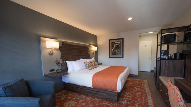 The Vine Inn Davis Room