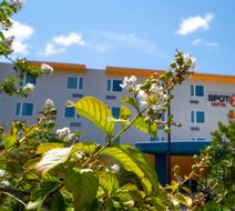 SPOT X Hotel Orlando/Intl Dr Exterior