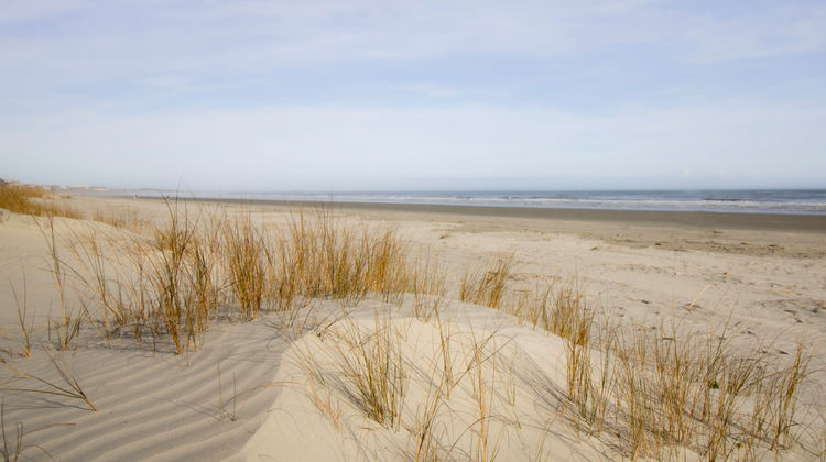 Kiawah Island Golf Resort Beach