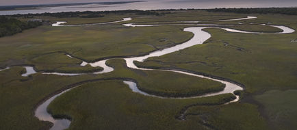Kiawah Island Golf Resort Exterior