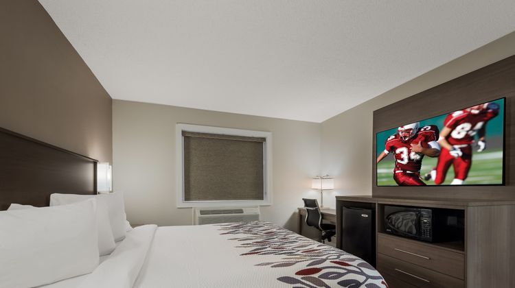 Red Roof Inn & Suites Vineland - Buena Room