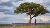 JW Marriott Masai Mara Lodge Other