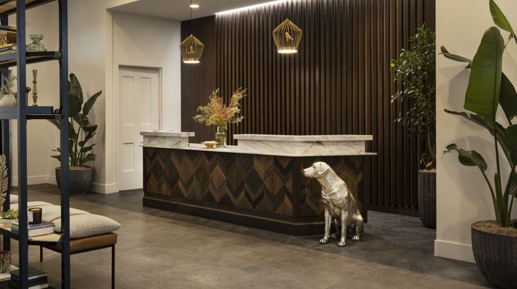 The Steward, a Tribute Portfolio Hotel Lobby