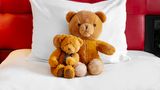 Crowne Plaza Amsterdam - South Suite