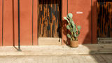 Otro Oaxaca, a Member of Design Hotels Exterior