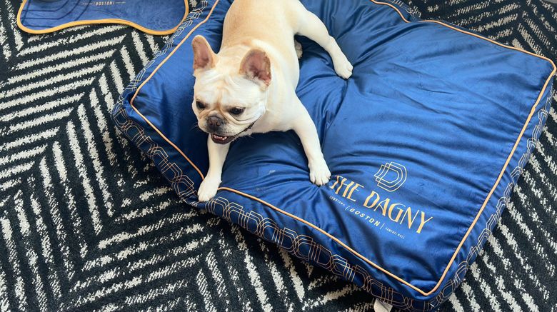 <b>The Dagny Boston Other</b>. Images powered by <a href="https://www.leonardoworldwide.com/" title="Leonardo Worldwide" target="_blank">Leonardo</a>.