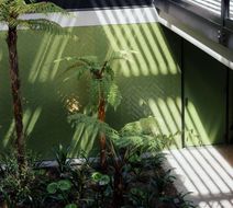 Ebb-Dunedin Exterior