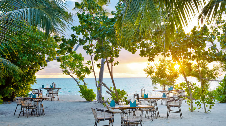 <b>Kandima Maldives Restaurant</b>. Images powered by <a href="https://www.leonardoworldwide.com/" title="Leonardo Worldwide" target="_blank">Leonardo</a>.