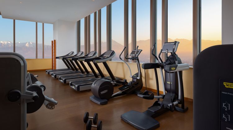 The Ritz-Carlton, Almaty Recreation