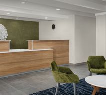 Fairfield Inn & Suites Roanoke Hollins Lobby