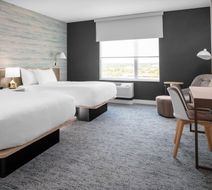 TownePlace Suites Tampa Clearwater Room