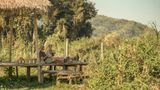 Four Seasons Tented Camp Golden Triangle Restaurant