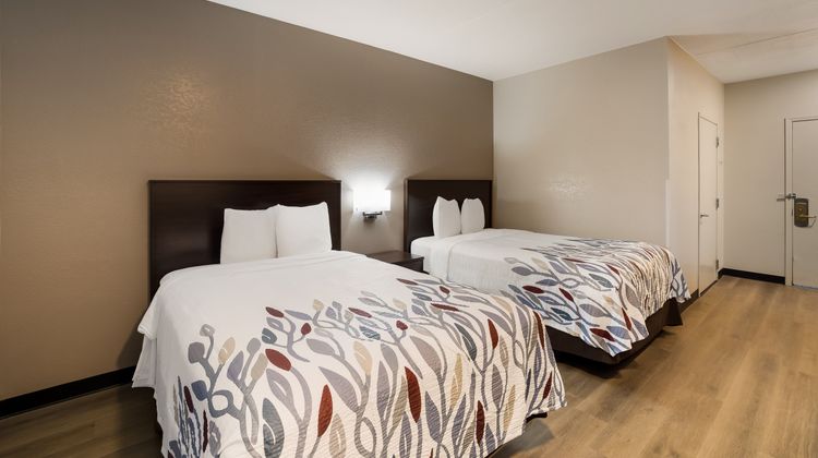 Red Roof Inn Tucson North - Marana Room