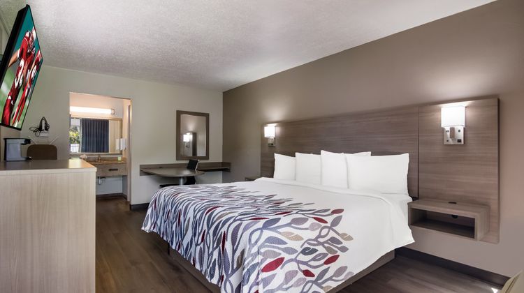 Red Roof Inn Vero Beach - I-95 Room
