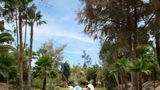 Gran Hotel Bahia del Duque Golf