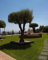 Hotel Airone
