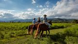 House of Jasmines - Estancia de Charme Recreation