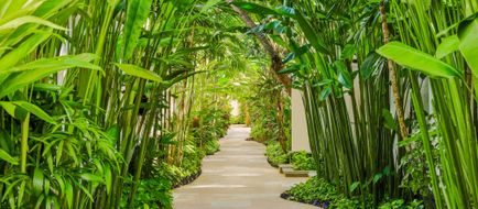 Amarterra Villas Resort Bali Nusa Dua Exterior