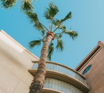 Courtyard Los Angeles LAX/Century Blvd Exterior
