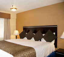 Executive Inn Exterior