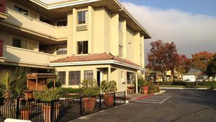 Executive Inn