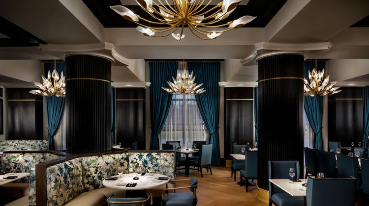 Grand Bohemian Hotel Orlando Restaurant