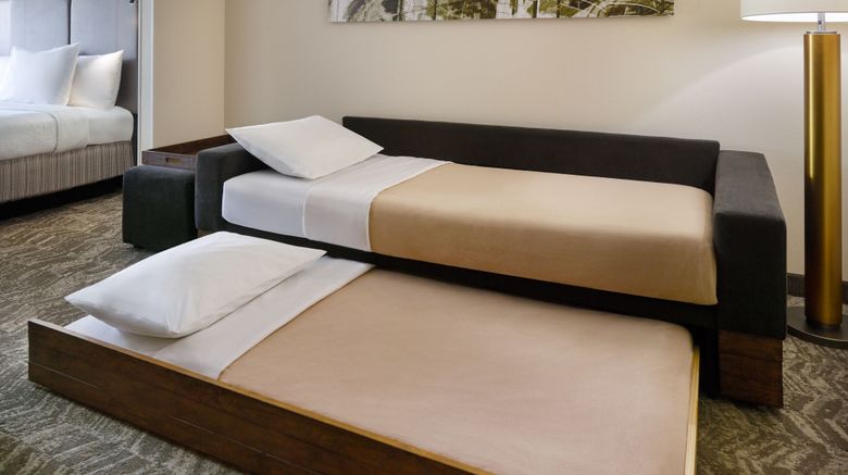 <b>SpringHill Suites by Marriott Suite</b>. Images powered by <a href="https://www.leonardoworldwide.com/" title="Leonardo Worldwide" target="_blank">Leonardo</a>.