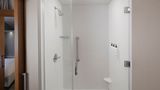 <b>SpringHill Suites San Angelo Room</b>. Images powered by <a href="https://www.leonardoworldwide.com/" title="Leonardo Worldwide" target="_blank">Leonardo</a>.