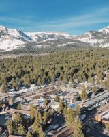 Outbound Mammoth