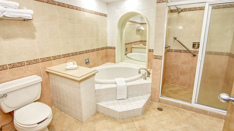 Holiday Inn Centro de Convenciones Suite