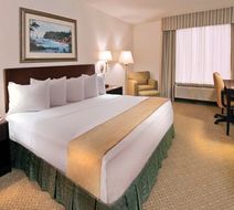 Ann Arbor Regent Hotel & Suites Room