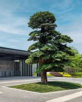 Midea Shunde, A Tribute Portfolio Hotel