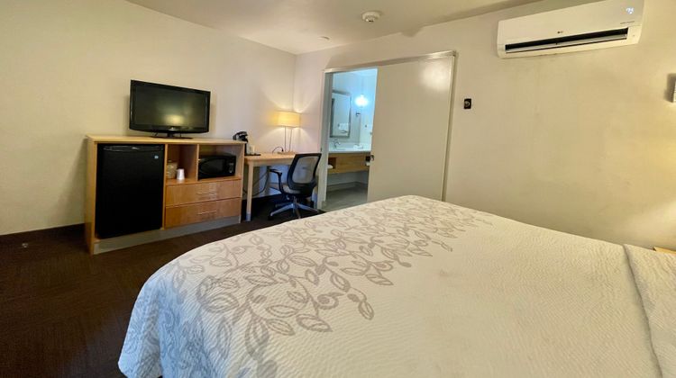 Red Roof PLUS+ & Suites Tampa Room