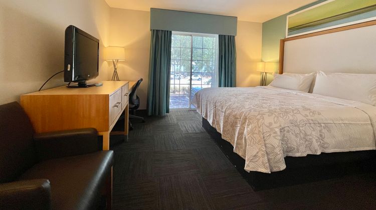 Red Roof PLUS+ Tampa - Busch Gardens Room