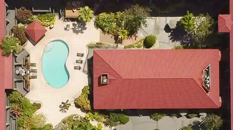 Red Roof PLUS+ Tampa - Busch Gardens Exterior
