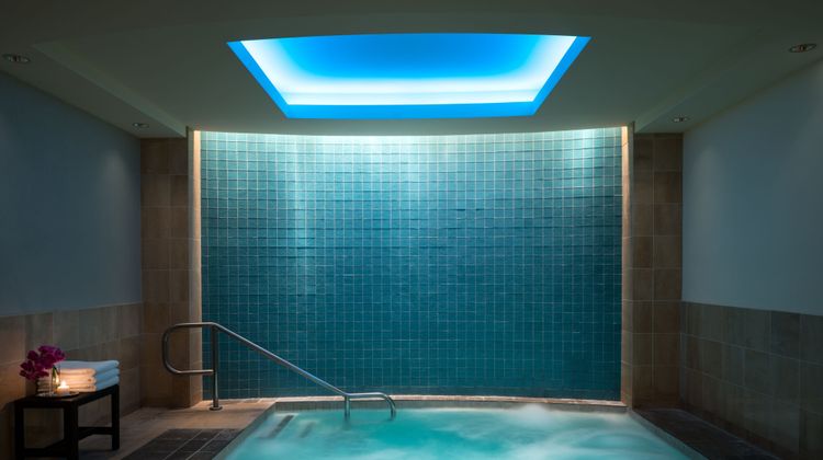 The Ritz-Carlton, Dallas Pool