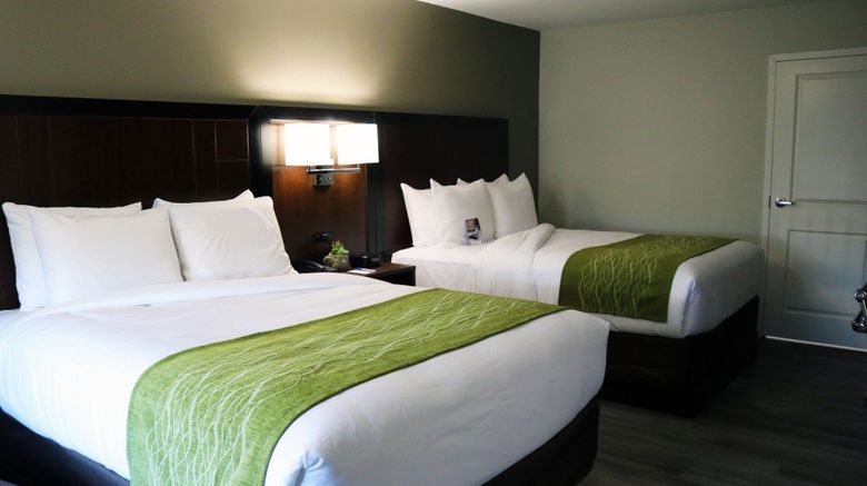 <b>The Delaney Hotel Room</b>. Images powered by <a href="https://www.leonardoworldwide.com/" title="Leonardo Worldwide" target="_blank">Leonardo</a>.