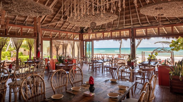 La Zebra Beach Cantina y Cabanas Restaurant