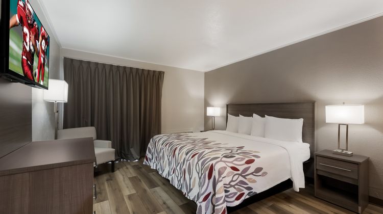 Red Roof Inn Madisonville Room