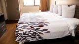 Red Roof Inn Rochester - Henrietta Room