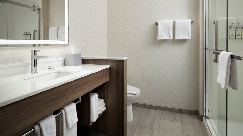 <b>Holiday Inn Express & Suites Lima Room</b>. Images powered by <a href="https://www.leonardoworldwide.com/" title="Leonardo Worldwide" target="_blank">Leonardo</a>.
