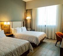 Holiday Inn Navojoa Room