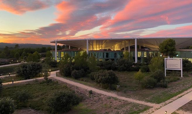 The Camp Hotel & Lodges Exterior
