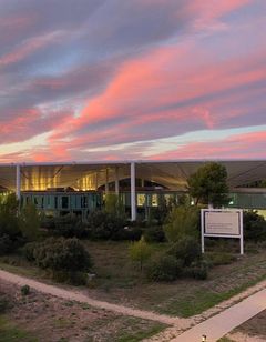 The Camp Hotel & Lodges