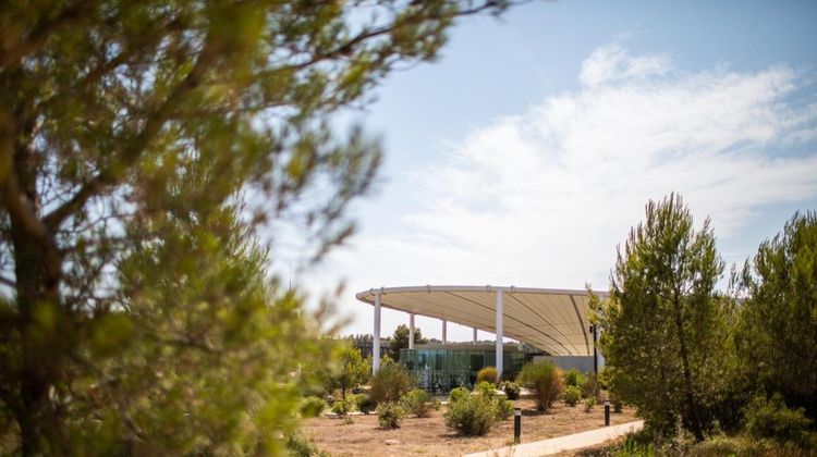 The Camp Hotel & Lodges Exterior