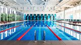 Sheraton Shenzhen Futian Hotel Pool