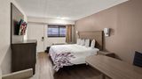 Red Roof Inn Binghamton - Johnson City Room