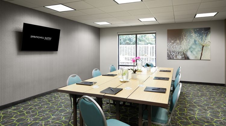 SpringHill Suites St. Louis/Earth City Meeting